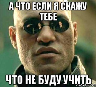 а что если я скажу тебе что не буду учить, Мем  а что если я скажу тебе