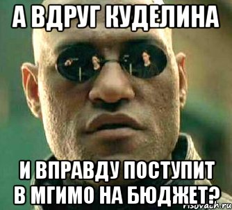 а вдруг куделина и вправду поступит в мгимо на бюджет?, Мем  а что если я скажу тебе