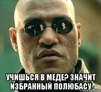  учишься в меде? значит избранный полюбасу, Мем  а что если я скажу тебе