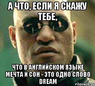 а что, если я скажу тебе, что в английском языке мечта и сон - это одно слово dream, Мем  а что если я скажу тебе