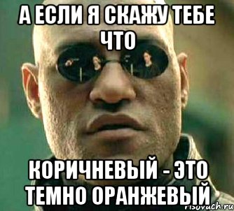 а если я скажу тебе что коричневый - это темно оранжевый, Мем  а что если я скажу тебе