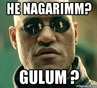 he nagarimm? gulum ?, Мем  а что если я скажу тебе