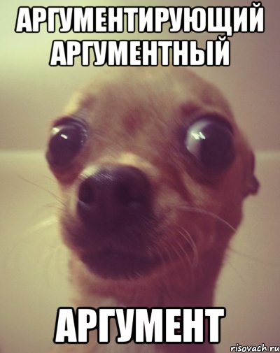 аргументирующий аргументный аргумент