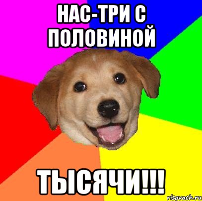 нас-три с половиной тысячи!!!, Мем Advice Dog