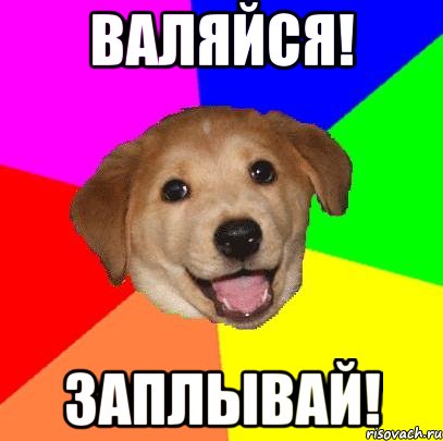 валяйся! заплывай!, Мем Advice Dog