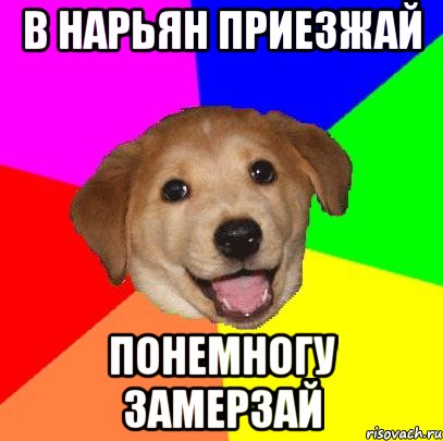 в нарьян приезжай понемногу замерзай, Мем Advice Dog