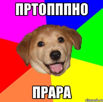 пртопппно прара, Мем Advice Dog