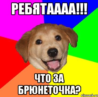 ребятаааа!!! что за брюнеточка?, Мем Advice Dog