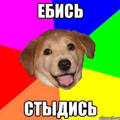 ебись стыдись, Мем Advice Dog