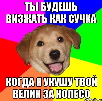 ты будешь визжать как сучка когда я укушу твой велик за колесо, Мем Advice Dog