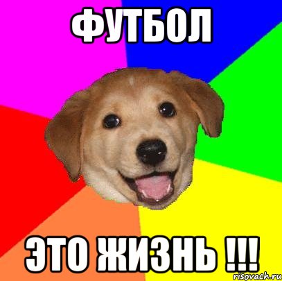 футбол это жизнь !!!, Мем Advice Dog