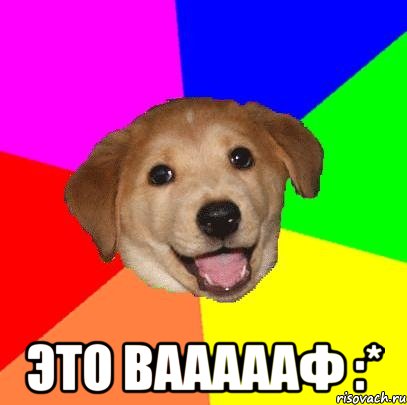  это ваааааф :*, Мем Advice Dog