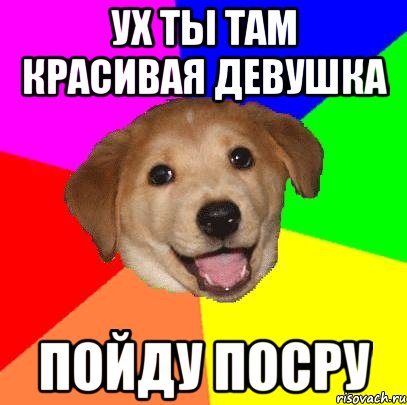 ух ты там красивая девушка пойду посру, Мем Advice Dog