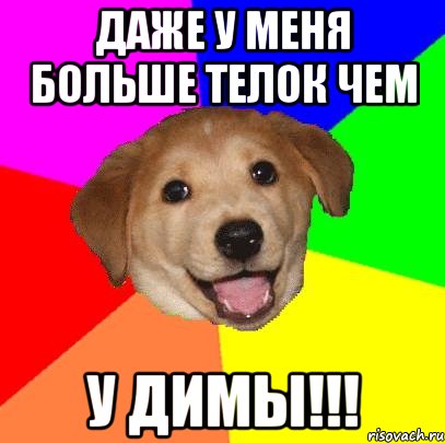 даже у меня больше телок чем у димы!!!, Мем Advice Dog