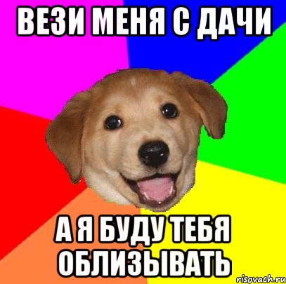 вези меня с дачи а я буду тебя облизывать, Мем Advice Dog