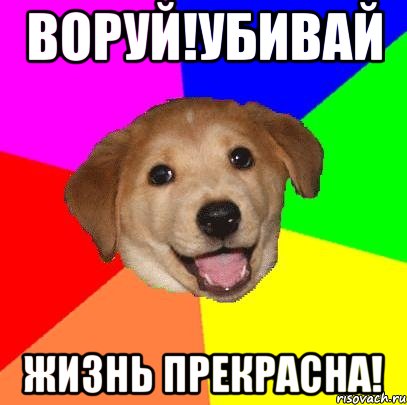 воруй!убивай жизнь прекрасна!, Мем Advice Dog