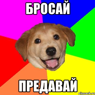 бросай предавай, Мем Advice Dog