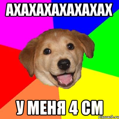 ахахахахахахах у меня 4 см, Мем Advice Dog