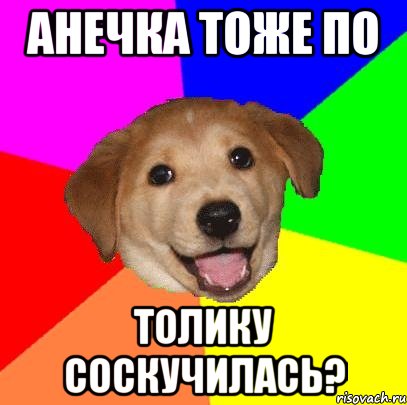 анечка тоже по толику соскучилась?, Мем Advice Dog