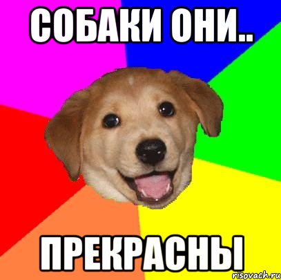 собаки они.. прекрасны, Мем Advice Dog