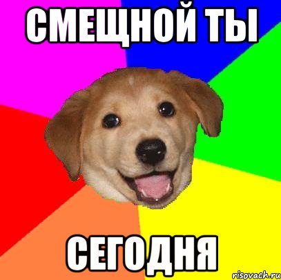 смещной ты сегодня, Мем Advice Dog