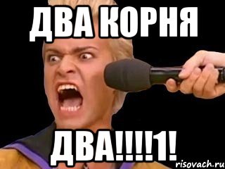 два корня два!!!1!, Мем Адвокат