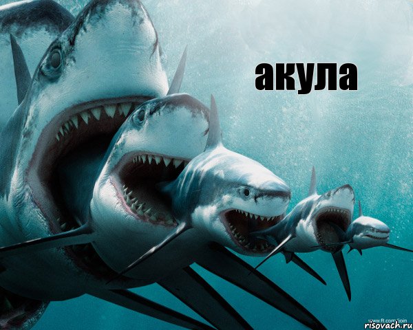 акула, Комикс Акула в акуле