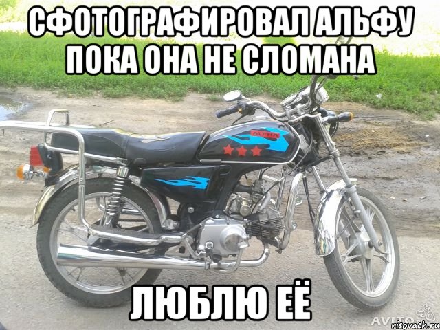 сфотографировал альфу пока она не сломана люблю её