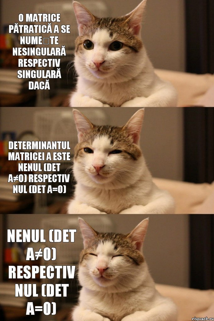 O matrice pătratică A se numește nesingulară respectiv singulară dacă determinantul matricei A este nenul (det A≠0) respectiv nul (det A=0) nenul (det A≠0) respectiv nul (det A=0), Комикс апапапа