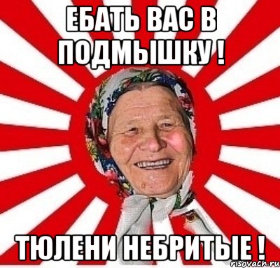 ебать вас в подмышку ! тюлени небритые !, Мем  бабуля