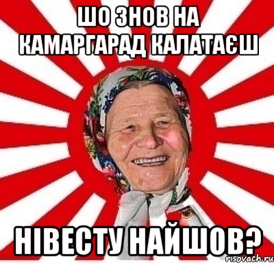 шо знов на камаргарад калатаєш нівесту найшов?, Мем  бабуля