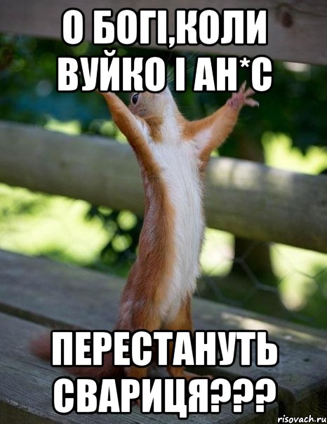 о богі,коли вуйко і ан*с перестануть свариця???, Мем    белка молится