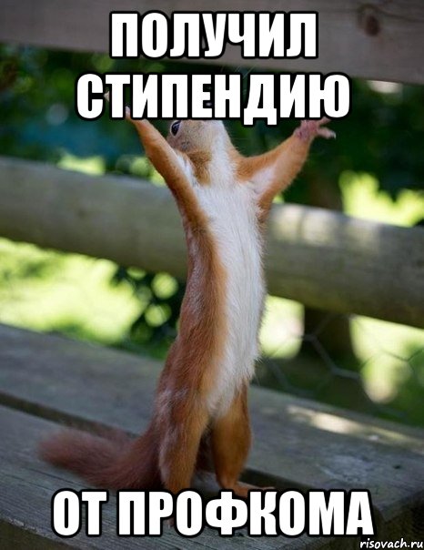 получил стипендию от профкома, Мем    белка молится