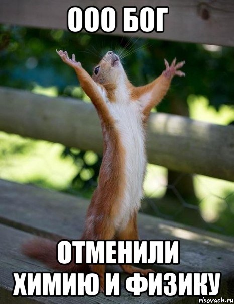 ооо бог отменили химию и физику, Мем    белка молится