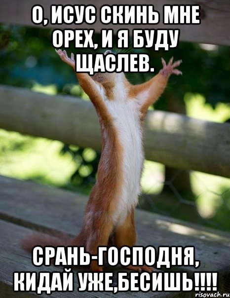 о, исус скинь мне орех, и я буду щаслев. срань-господня, кидай уже,бесишь!!!, Мем    белка молится