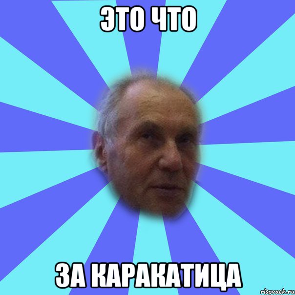 это что за каракатица