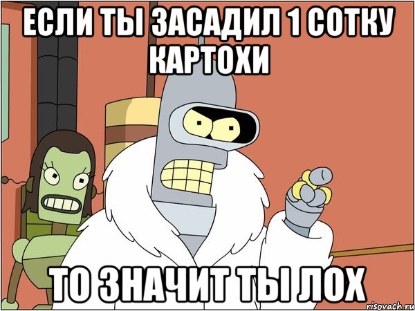 если ты засадил 1 сотку картохи то значит ты лох