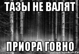 тазы не валят приора говно, Мем безысходность