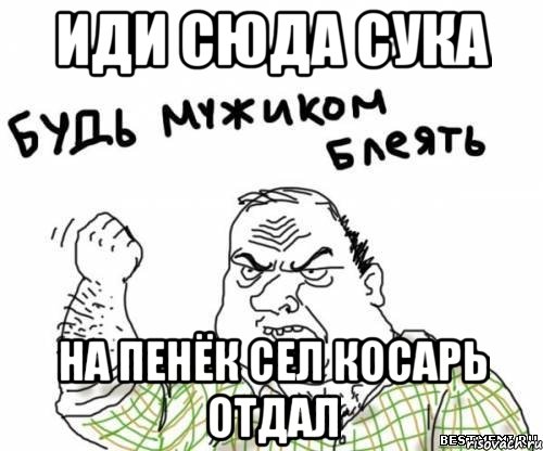 иди сюда сука на пенёк сел косарь отдал, Мем блять