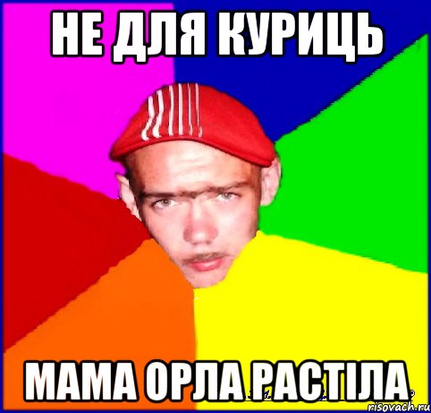 не для куриць мама орла растіла