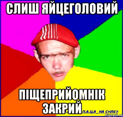 слиш яйцеголовий піщеприйомнік закрий