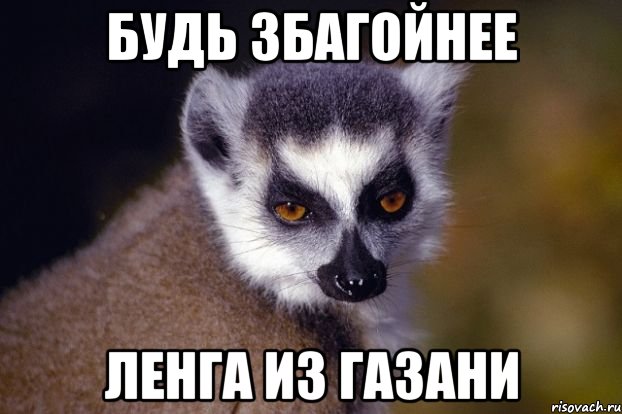 будь збагойнее ленга из газани