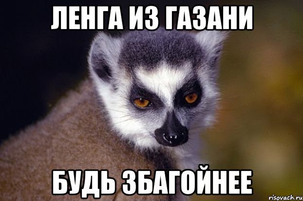 ленга из газани будь збагойнее