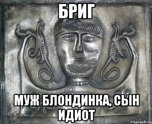 бриг муж блондинка, сын идиот