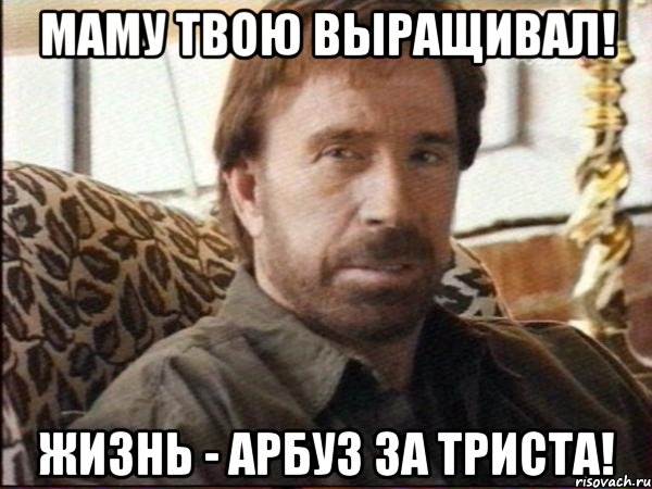 маму твою выращивал! жизнь - арбуз за триста!