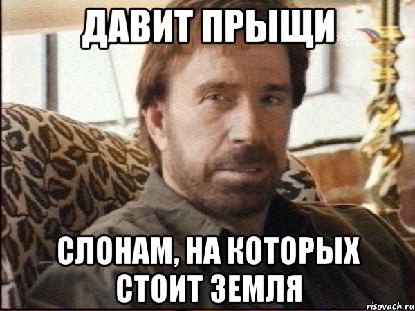 давит прыщи слонам, на которых стоит земля