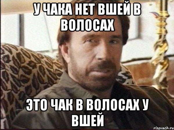 у чака нет вшей в волосах это чак в волосах у вшей