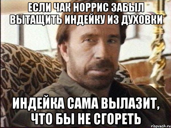 если чак норрис забыл вытащить индейку из духовки индейка сама вылазит, что бы не сгореть