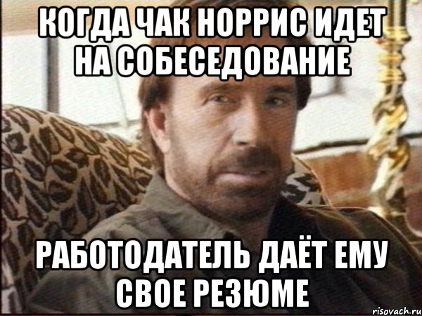 когда чак норрис идет на собеседование работодатель даёт ему свое резюме