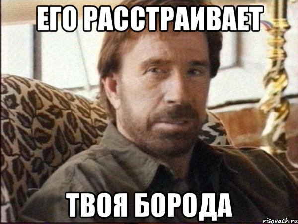 его расстраивает твоя борода, Мем чак норрис